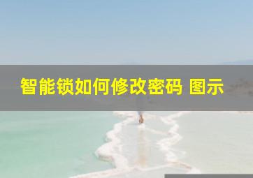 智能锁如何修改密码 图示